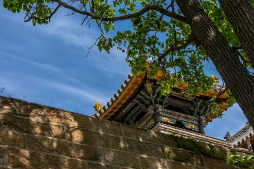 名胜区文明安全旅游倡议书AG真人娱乐网址千山风景(图4)